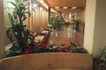 Atlas Zamalek Hotel Giza Exterior foto